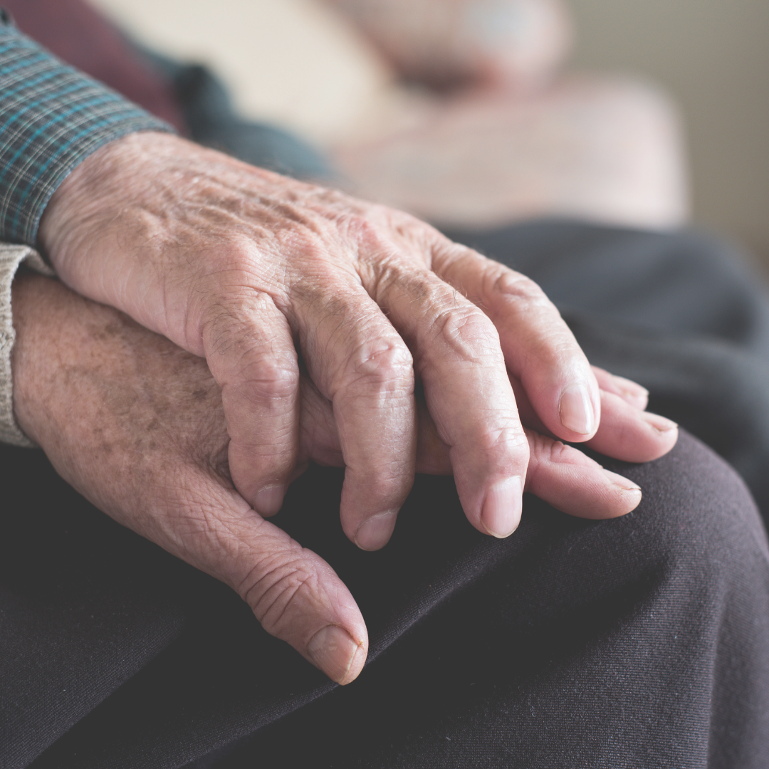 住まいの見直し診断会